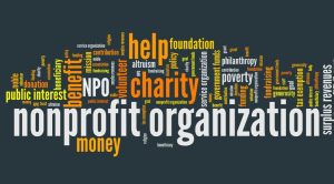 Word cloud centered around the theme of nonprofit organizations, featuring prominent terms like "nonprofit," "organization," "charity," "volunteer," "donation," "foundation," "philanthropy," "public interest," "grant," "trust," "tax exemption," and "surplus revenues," visually emphasizing the values and functions of nonprofit entities.